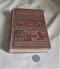The Rover Boys On Treasure Isle by Arthur Winfield antique book brown hardcover