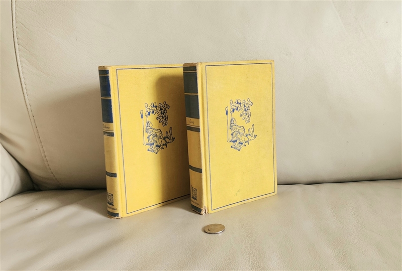 vintage the blue fairy book and childrens stories from dickens set 1949 international readers league frank godwin harold copping collectible