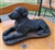 Wax novelty candle 1970s giant Black Labrador Retriever dog two tone wood texture base unlit wick