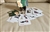 Playing cards 2012 The Nature Conservancy invasive species deck