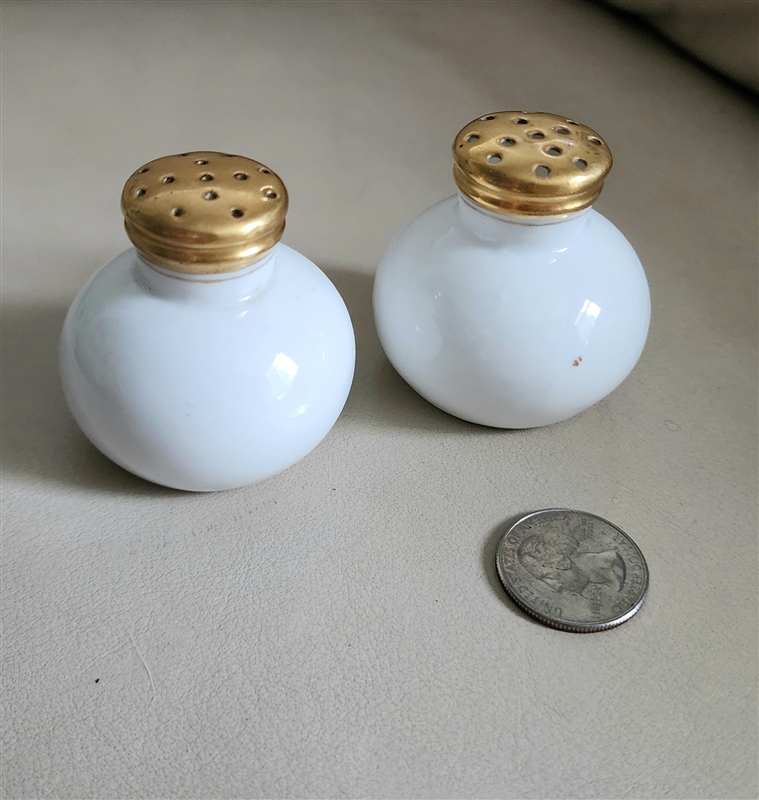 Vintage Salt and pepper shakers Bavaria porcelain in white and gold color decor