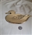 Vintage solid brass, footed, Duck trivet sign Rubel collectible vintage home decor for indoor and outdoors, gift idea.