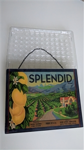 Preowned decorative glass wall sign featuring Splendid Brand citrus advertisement