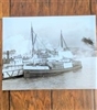 Old merchant ship STERRA black and white photo collectible large photograph