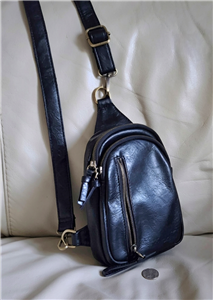 Joy Susan modern women's Skyler black vegan leather sling bag front view showing zipper pockets