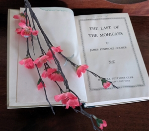 James Fenimore Cooper The Last of the Mohicans classic edition