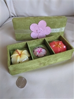 Velvet green box with 3 Plumeria tea light candles collectible home decor