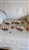Set of four handmade miniature topsail schooner ships in clear glass bottles with wooden stands and embossed base numbers