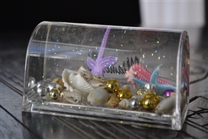 VIntage Lucite snowglobe from FL sea theme