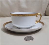 Tirschenreuth Bavaria porcelain Grapevine teacup and saucer set elegant design collectible