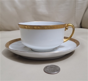 Tirschenreuth Bavaria porcelain Grapevine teacup and saucer set elegant design collectible
