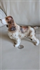Lefton Porcelain Spaniel Dog Figurine H04407