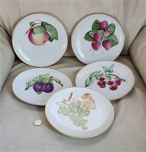 Heinrich Selb Bavaria German porcelain fruit plates 5 piece gold trim strawberry apple cherry plum grape designs 1930s