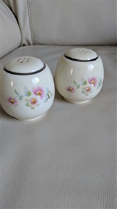 Eggshell Nautilus porcelain shakers in floral design paster decor elegant table setting collectible salt and pepper shakers