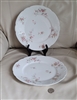 Theodore Haviland, Limoges, Roses dinner plate 10", set of two.